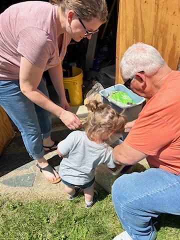 Helping Grandpa Feed the Birds