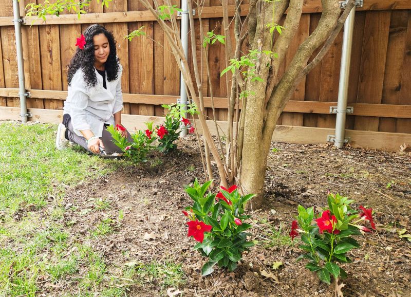 Digna Gardening