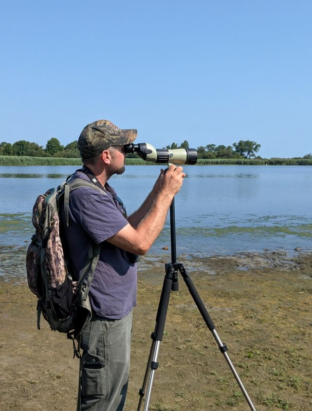 Birding at Jamaica Bay